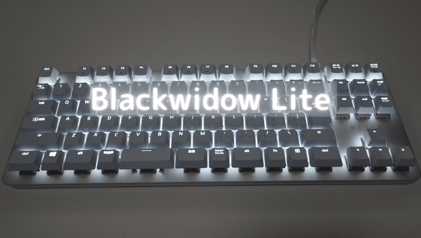 Blackwidow Liteレビュー 静音化も出来るコスパに優れたキーボード がじぇけん